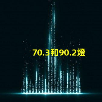 70.3和90.2燈珠哪個好 sFN60燈珠和70.3哪個好